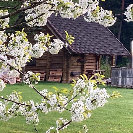 Mezupes Tūja Exterior foto